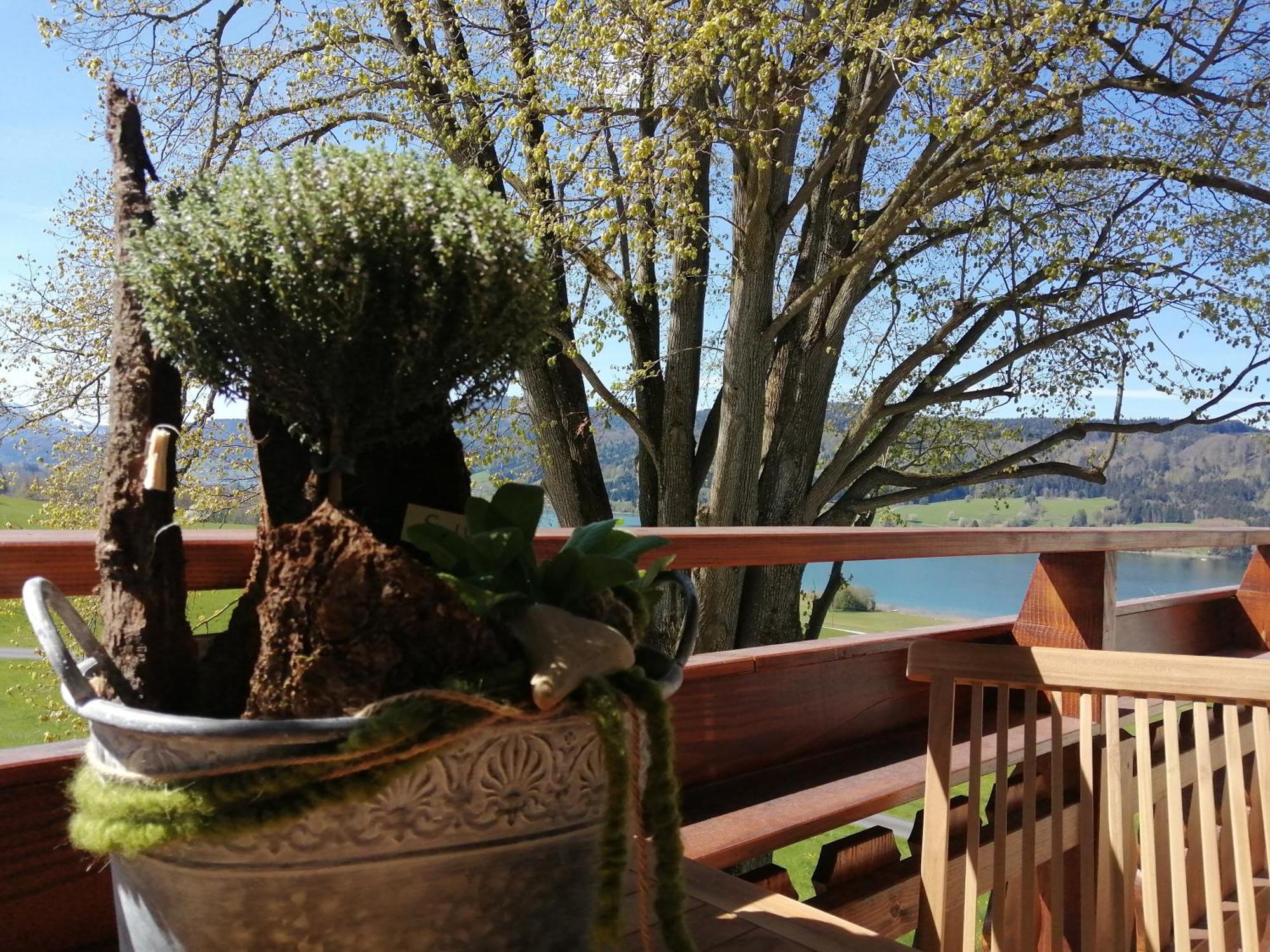 Roiderhof Irrsee Oberhofen am Irrsee Екстер'єр фото