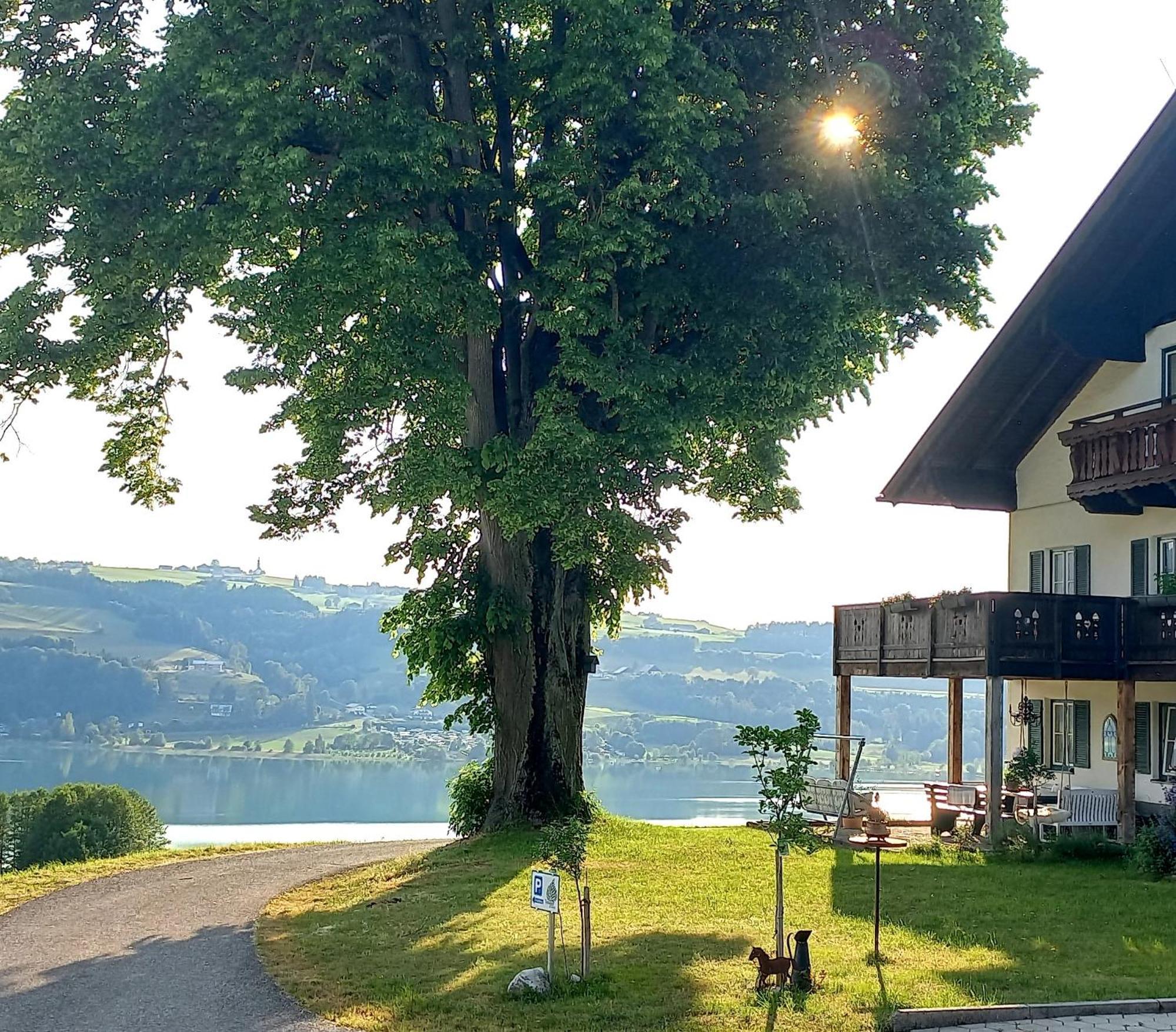 Roiderhof Irrsee Oberhofen am Irrsee Екстер'єр фото