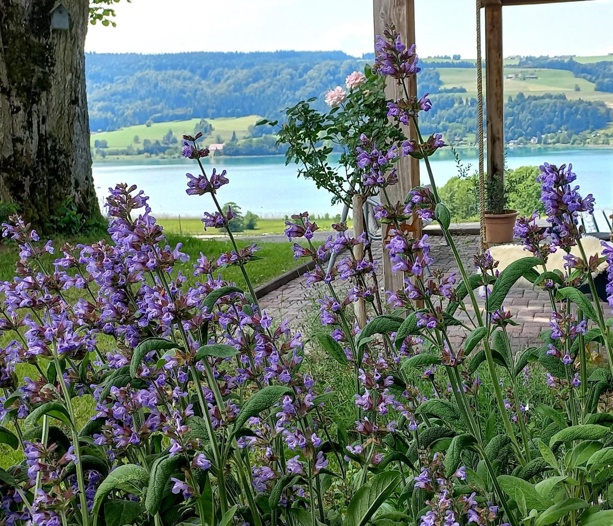 Roiderhof Irrsee Oberhofen am Irrsee Екстер'єр фото